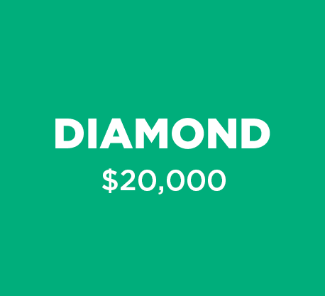Diamond Level